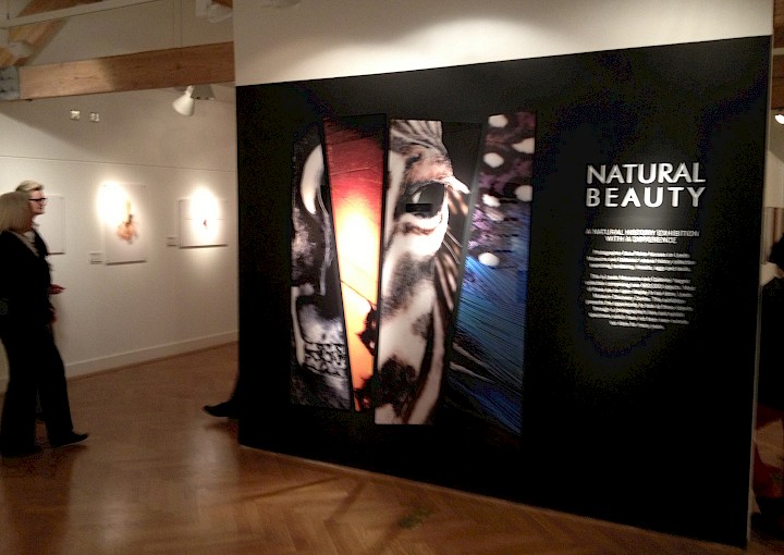 Image 5 for Leeds Museums and Galleries